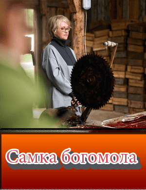 Самка богомола