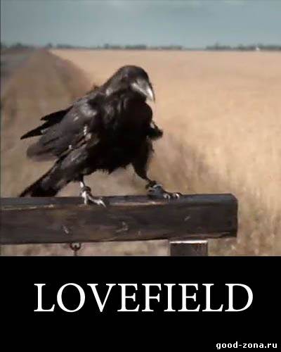 Поле любви / Lovefield