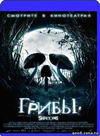 Грибы