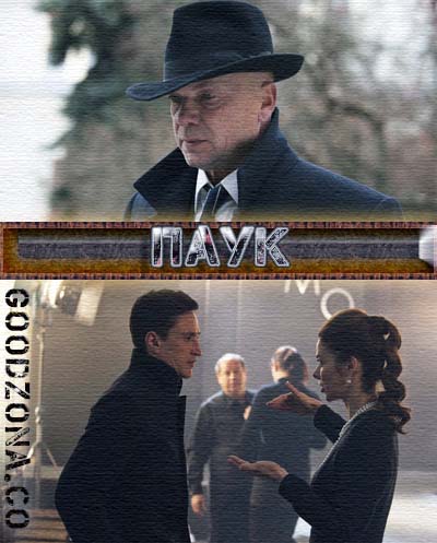 Паук (2015)